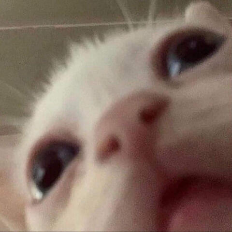artist credit